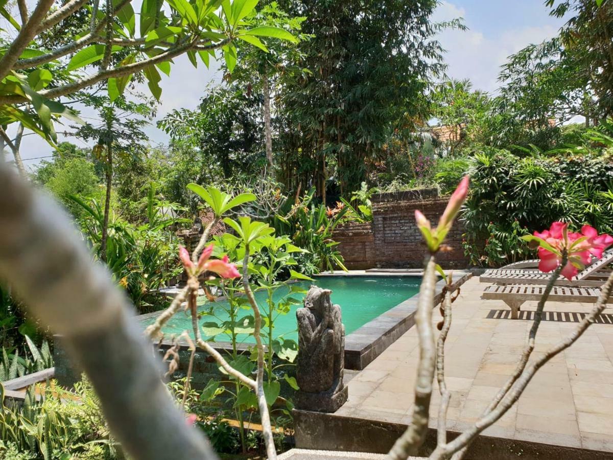 Nyoman Homestay Ubud Zewnętrze zdjęcie